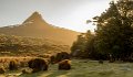 The Overland Track